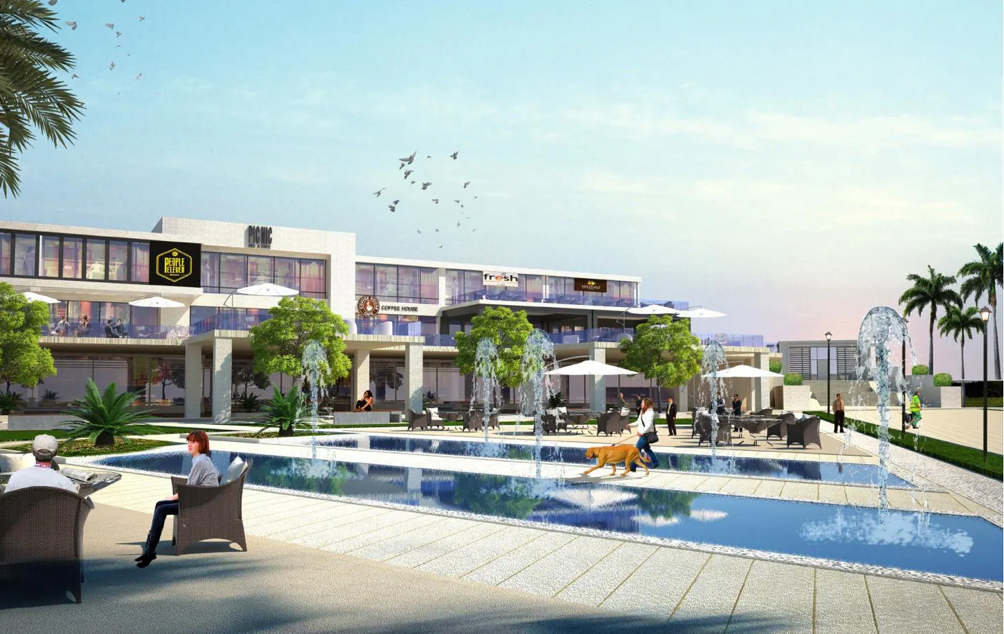 Maadi Social Club